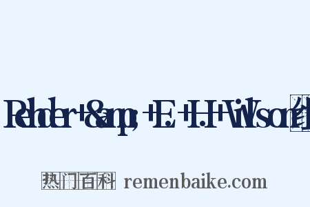 Rehder+&amp;+E.+H.+Wilson组词是什么意思的图片